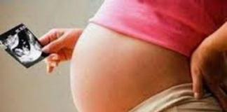 Беременность: как развивается малыш в утробе матери?